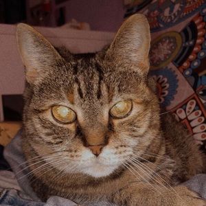 Meet your Posher, Madison